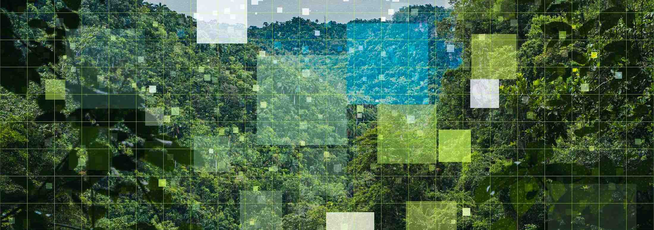  Аудит Мониторинг ЗВОС Экспертиза Экологический Консалтинг в Сурхандарье Кашкадарье Нукус и по Узбекистану ЭКОЛОГИЯ.UZ